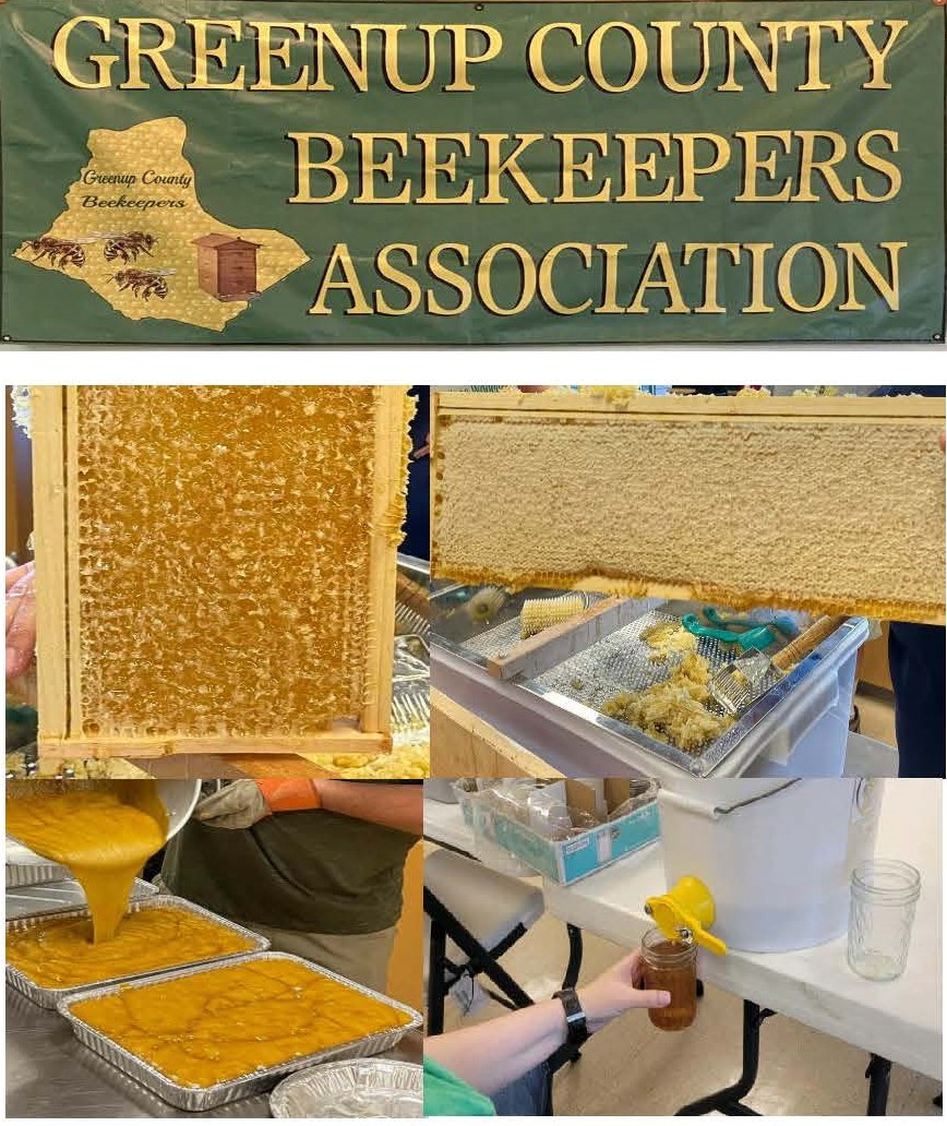 Picture of Beekeeper Banner & workshop 